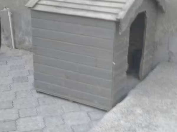 Taxta it evi - Material: bərk taxta panellər, üfüqi lamellər - Rəng