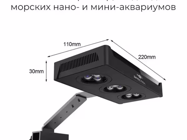 Ծովային ակվարիումի լույս