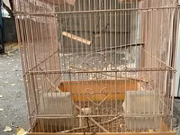 Թութակի վանդակ մեծ — Foto 1