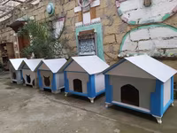 Salam yuvalar pişik ve balaca itlər üçün təzədi balacadan böyüyə — zdjęcie 3