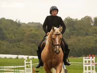 At, Quarter Horse — foto 6