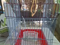 Թռչունի վանդակներ — фото 3