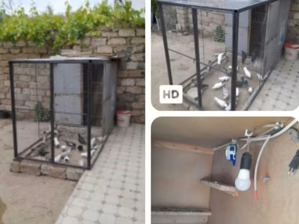 Uzunluq 2.70 Hündürlük 1.50 En 1.30 qalın dəmirdən yığılıb ici
