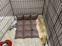 Heyvanlar üçün metal maneqe (playpen) - Material: dayanıqlı qara — 照片 1