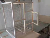 Papuqay,dovşan,hamster,şinşila,bildirçin,cücə,xamyak,pişik,quş,tısbağa — foto 1
