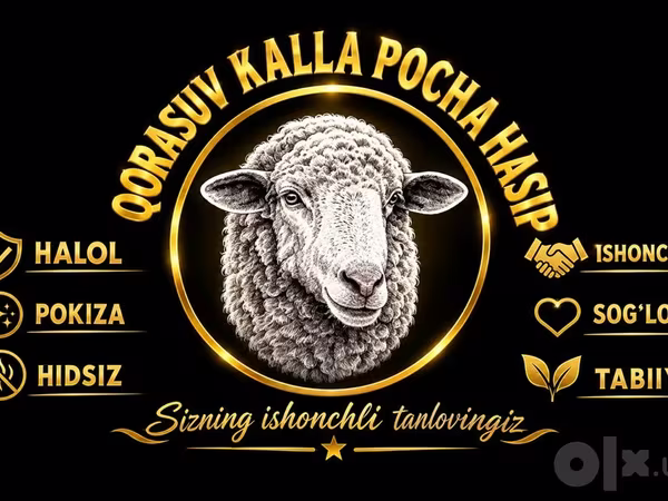 Ovce (šarže, pohlaví neuvedeno), Ovce