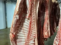 Мясо свинина с доставкой в пензе — photo 2