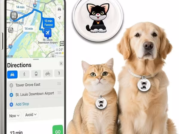 🐾 SEVİMLİ HEYVANLARINIZ ÜÇÜN DƏQİQ GPS TƏHLÜKƏSİZLİK QURĞUSU 🐕