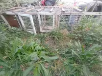 Ճագարի Վանդակ 2 տեղանոց — Foto 4
