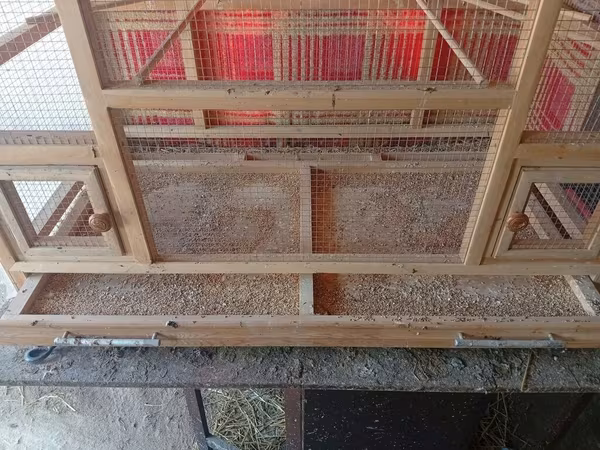 Taxta quş qəfəsi/volyer - Material: möhkəm taxta karkas, xırda gözlü