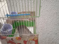 Quş qəfəsi - Material: metal barmaqlıq və plastik altlıq - Rəng — foto 4