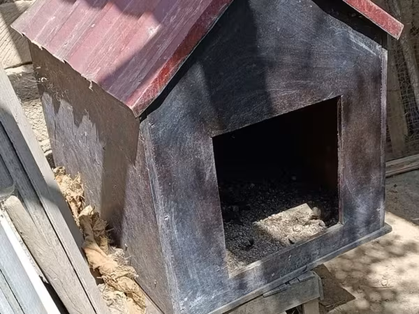 Taxta it evi - Material: qalın taxta/kombinə edilmiş faner korpus