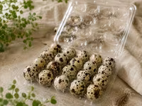 Quails — Foto 1