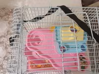Siçan/hamster ile 2 mərtəbəli!qəfəs dəsti 'qızdı yemək və qumu ile — 照片 4