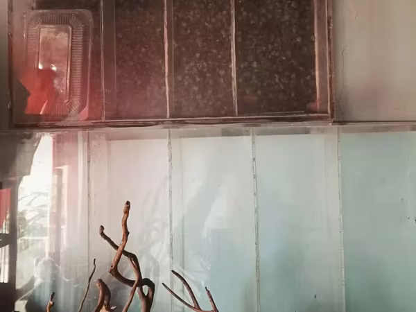 Аквариум секциями