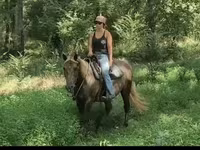 Yegua, Kentucky mountain daddle horse — foto 7