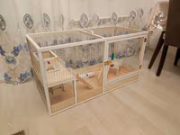 Dovşan,hamster,şinşila,bildirçin,cücə,xamyak,pişik,quş ve s kimi ev — الصورة 2