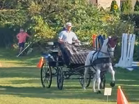 Klisna, Lipizzaner — foto 3
