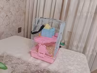 Siçan/hamster ile 2 mərtəbəli!qəfəs dəsti 'qızdı yemək və qumu ile — 照片 3