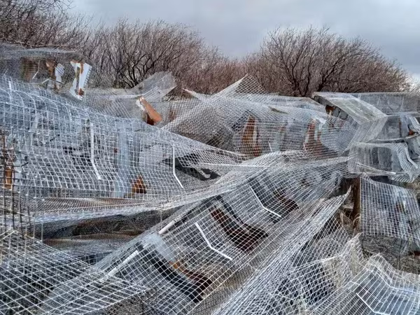 Հավի վանդակ сетка