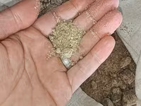 Müxtəlif növ bitki şrotları(pelet və ya jımıx da adlanır) üyüdülmüş və — foto 3