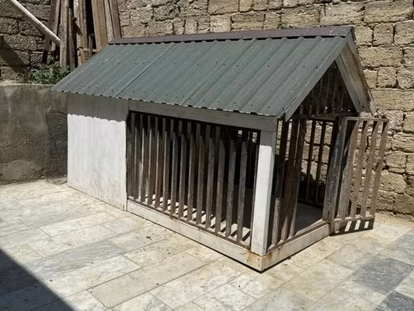 Böyük ölçülü it evi və açıq volyer - Karkas: qalın taxta