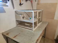 Papuqay,dovşan,hamster,şinşila,bildirçin,cücə,xamyak,pişik,quş,tısbağa — Foto 2