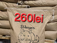 Nisip tratat perlit pentru chinchila (șinșila,chinchilla,шиншила,sinsila) 13lei/kg — 照片 4
