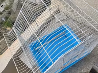 Quş qəfəsi – metal karkaslı, mavi plastik altlıqla - Material: möhkəm — الصورة 2