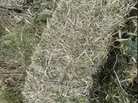 Խոտի տուկ, Յոնջա և խառը — фото 3