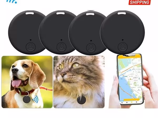 🐾 Ev Heyvanları üçün GPS Cihazı Sevimli dostunuzu hər zaman izləyin!