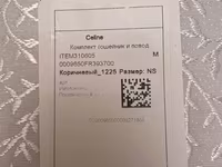 Orijinal Celine Triomphe it dizaynlı it üçün qoşqu və zəncir dəsti - — 照片 2
