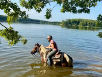At, Pinto horses — foto 3