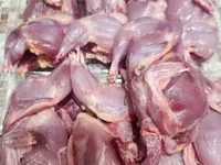 Quails — الصورة 4
