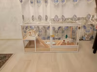 Dovşan,hamster,şinşila,bildirçin,cücə,xamyak,pişik,quş ve s kimi ev — الصورة 1