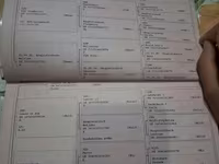 Stute, Pferde — Foto 2