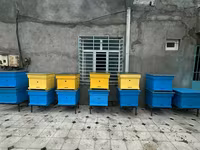 Arıçılıq üçün taxta arı pətəkləri - Model: çoxkorpuslu taxta pətək - — الصورة 3