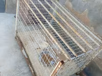 Möhkəm metal qəfəs – heyvanlar üçün - Material: polad məftil karkas — foto 3