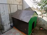 Böyük ölçülü it evi - Material: möhkəm taxta karkas, üstü — फ़ोटो 2