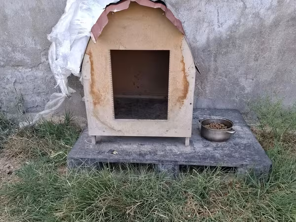 Taxta it evi - Material: kontrplak/taxta gövdə, üstü dalğalı metal