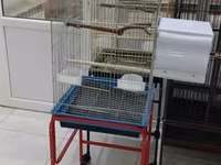 Her novde her qiymete qefeslermiz var catrilma var metrolara rayolara — 照片 5