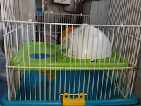 Hamster üçün tam dəst qəfəs uzunluqu 55 sm hündürlük 45 sm eni 30 sm — 照片 3