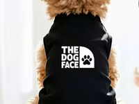 İtlər üçün yay köynəyi (The Dog Face) – (3.6 – 5.9 kq) İtlər üçün — photo 1