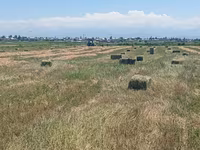 Беде пресс сатылат(таза беде)! Маевка айылында 2 кос. тюки бодрые — photo 2
