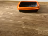 Məhsul: Açıq tip pişik tualeti (kum qabı) - Material: Bərk plastik - — Foto 3