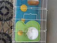 Hamster üçün tam dəst qəfəs uzunluqu 55 sm hündürlük 45 sm eni 30 sm — 照片 5