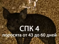 Комбикорм для ИНДЮКОВ "ФИНИШ" (от 45 дней) — 5-rasm