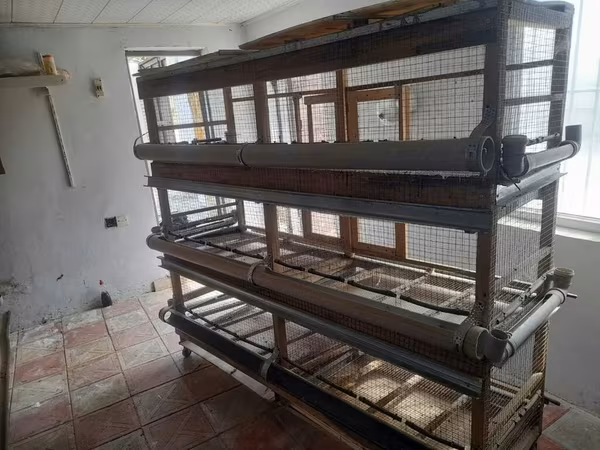 Cuce ve yaxud qush qefesi satilir. Qiymet 150 azn