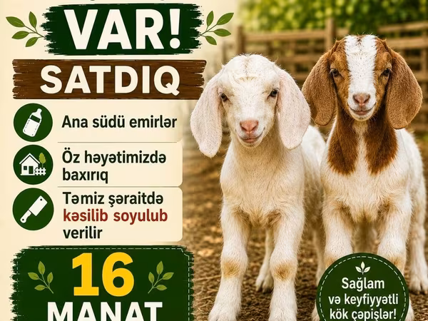 Goats (batch, sex not specified), Goats