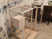 Papuqay,dovşan,hamster,şinşila,bildirçin,cücə,xamyak,pişik,quş,tısbağa — Foto 3